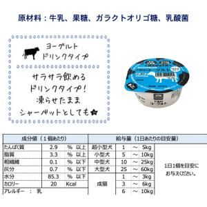 乳酸菌使用 犬用 猫用 ヨーグルト ドリンクタ...の詳細画像2