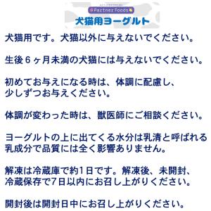 乳酸菌使用 犬用 猫用 ヨーグルト ドリンクタ...の詳細画像3