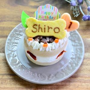 猫用 ネコ用 cat cake プレートキャンドル付き！ 誕生日ケーキ ペット