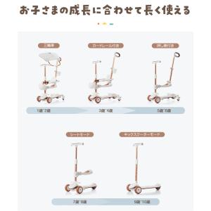 【超PayPay祭+5%★3/22まで】特価セ...の詳細画像2