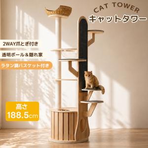 エサ台 ペット用品 猫用 木製 食器スタンド ボウル 猫 ねこ ネコ