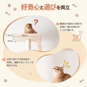 キャットタワー 木製 190cm 宇宙船2個付...の詳細画像2