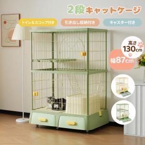 猫じゃらし産業 猫じゃらしリボン付き 2本入【クリックポスト発送・お