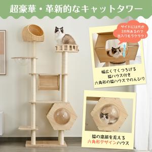 ペットアイ キャットタワー サボテン グレー つめとぎ ツメとぎ 爪とぎ