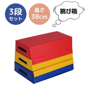 ドウシシャ しゃべる地球儀 パーフェクトグローブ EXAR エクサー