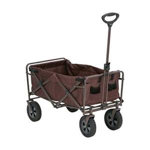 武田コーポレーション  キングキャリーIII BR KC20-89