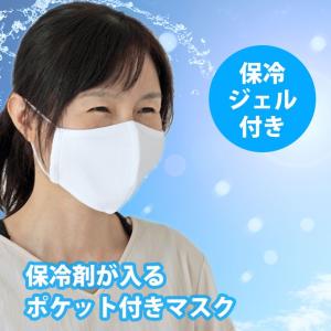 夏用 冷やしマスク 保冷剤ポケット 大人用 布メッシュマスク 繰り返し使えるエコマスク 保冷剤2個付き 日本製 ファムベリー ネコポス可 [M便 1/5]