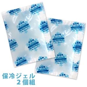保冷ジェル ２個組 ミニサイズ 50g 熱冷ましベストなどの取替え用に 固くならない不凍タイプ 暑さ対策 熱中症対策 保冷剤 5セットまでネコポス可