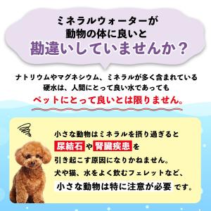 ペットウォーター 犬 みんなの水2L 1ケース...の詳細画像2
