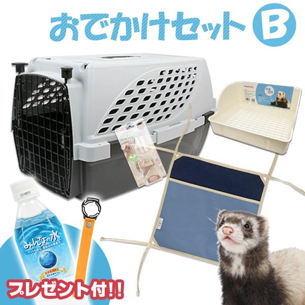 フェレット お出掛け  セット商品 おでかけセットB　ハードキャリー キャリーバッグ 外出 散歩 水...