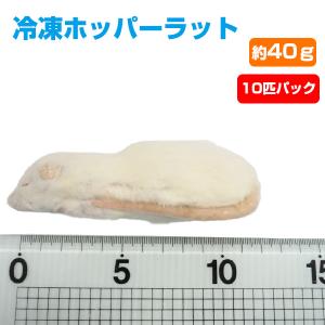 一部地域送料無料★10匹セット 冷凍ファジー　約5.5cm　爬虫類　冷凍えさ Amazon | 国産冷凍マウス (ファジー/6g 10匹入り) 爬虫類 猛禽類