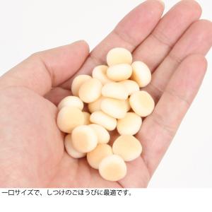 フェレット おやつ ちょこっとおやつシリーズ ...の詳細画像2