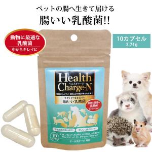 フェレット サプリメント 正規品 ヘルスチャージ-N 10カプセル  乳酸菌  栄養補給  健康維持  オールステージ対応  国産  整腸 腸内環境 大腸 ゆうパケットOK｜ferretwd