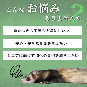 フェレットフード ジャパンフェレミアム チキン...の詳細画像3