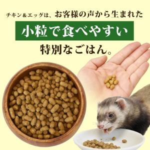 フェレットフード ジャパンフェレミアム チキン...の詳細画像4