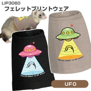 レインボー フェレット 洋服 RB ferret ランランハーネスウェア