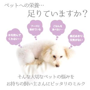 フェレット ミルク ミルク本舗 奇跡のヤギミル...の詳細画像1