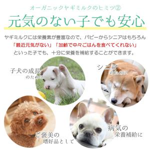 フェレット ミルク ミルク本舗 奇跡のヤギミル...の詳細画像5