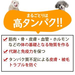 フェレット おやつ 超極み 福岡県産 まるごと...の詳細画像3