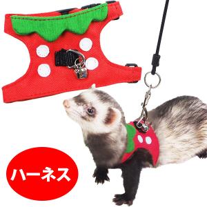 レインボー フェレット 服 RB ferretランランハーネスウェア（F2