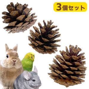 小動物 おもちゃ お取り寄せ KAWAI パインコーン 3個入り うさぎ チンチラ リス 小動物 小鳥 インコ かじり木 デンタルケア 松かさ 松ぼっくり NK｜ferretwd