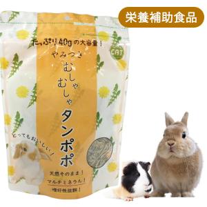 うさき 牧草 ZASSOU マルシェ うさぎの七草 50g F4 うさぎ チンチラ