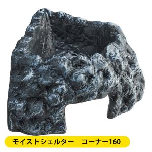 爬虫類用ウェットシェルター 楽天市場】シェルター 爬虫類 2個セット 洞窟 ハイドロボックス