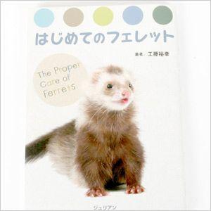 フェレットと幸せに暮らす為のグッズ紹介
