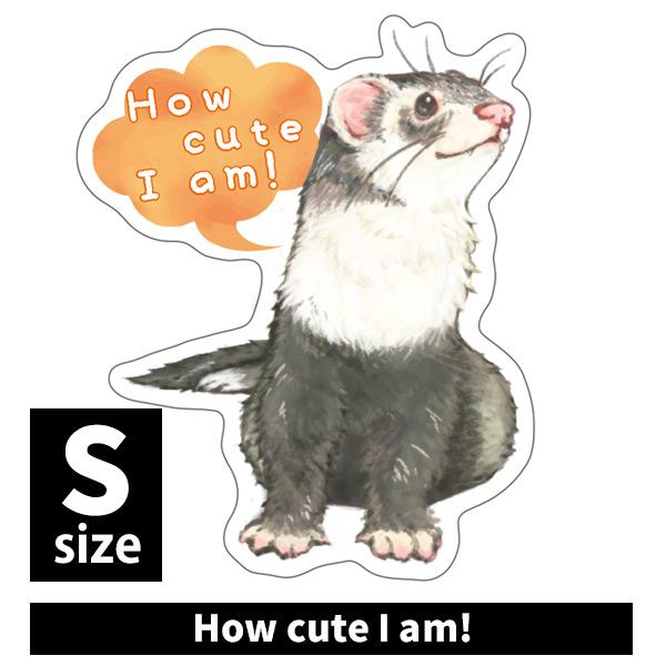 フェレット グッズ オリジナルフェレットステッカー How cute I am! Sサイズ s-10...