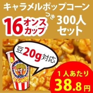 ポップコーン キャラメルポップコーン 300人材料セット 16オンスカップ付 豆20g対応 ポップコーン ポップコーン豆 フレーバー オイル