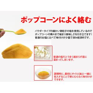 バターソルトフレーバー (調味塩)FLAVAC...の詳細画像2