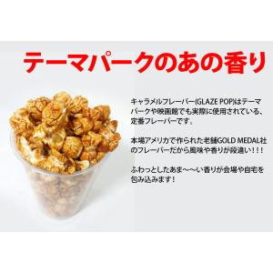 キャラメルフレーバー794g GOLDMEDA...の詳細画像1