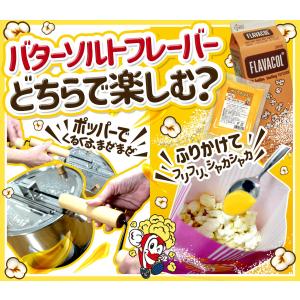 バターソルトフレーバー(調味塩)FLAVACO...の詳細画像1