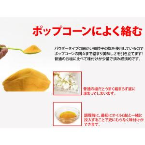 バターソルトフレーバー(調味塩)FLAVACO...の詳細画像3