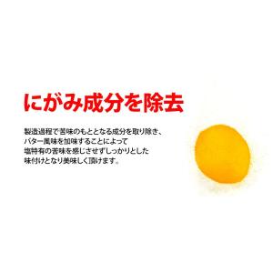 バターソルトフレーバー(調味塩)FLAVACO...の詳細画像4