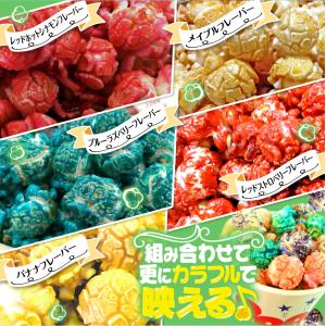 カラフルフレーバー 100g GOLD MED...の詳細画像3