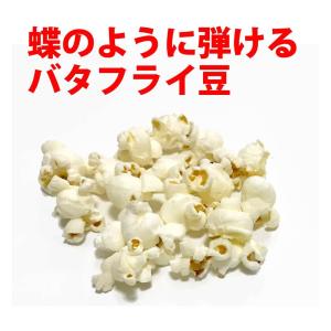 ポップコーン 豆1kg バタフライorマッシュ...の詳細画像2