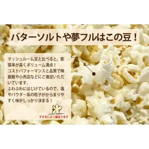 ポップコーン 豆1kg バタフライorマッシュ...の詳細画像3