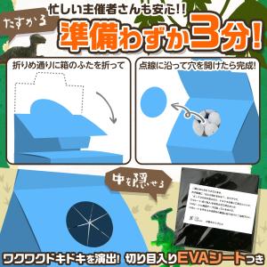 当てくじ ミニミニ恐竜あつめるんです 50円×...の詳細画像3