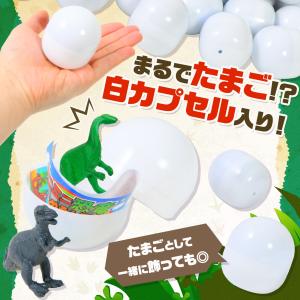 当てくじ ミニミニ恐竜あつめるんです 50円×...の詳細画像4