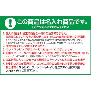 【名入れ商品】トンボ 色鉛筆 12色 缶ケース...の詳細画像1