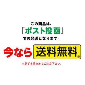 【名入れ商品】トンボ 色鉛筆 12色 缶ケース...の詳細画像2