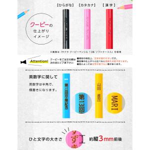 【名入れ商品】トンボ 色鉛筆 12色 缶ケース...の詳細画像5