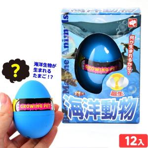 誕生！海洋生物 12個入 景品 おもちゃ お祭り 縁日 縁日 景品 問屋 お祭り 子供 おもちゃ 祭り 縁日用品 屋台 イベント