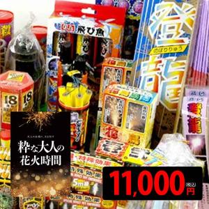手持入り全種勢揃いセット 5000円コース (Theフルコース) 花火 [omkAA