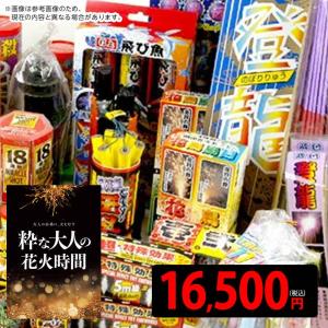ミラクルテモプラ W 花火セット 花火 セット [omkAA-543982omk] 縁日