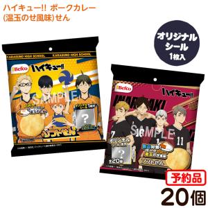 栗山米菓 ハイキュー ポークカレーせん 20個装入 代引 後払い決済不可 沖縄 離島発送不可 予約品 2022/8/8以降発送予定
