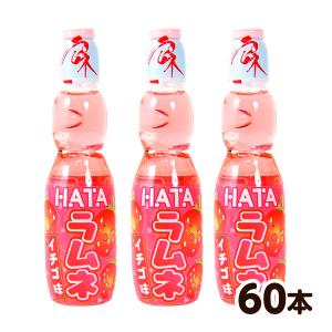 ペットボトルラムネ ハタ ペットラムネ イチゴ味 250ml 60本入 ラムネ 飲料 ラムネ飲料 業務用 送料無料 沖縄・離島発送不可 縁日 景品 問屋 お祭り 子供｜festival-plaza