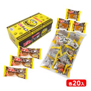 コリス ライフガード ソフトキャンディ 20個装入 駄菓子 お菓子 おかし