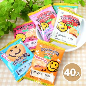 Collon 江崎グリコ クリームコロン 大人のミルク 48g×10入 (お菓子